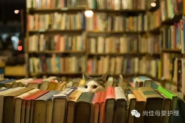 家政服務(wù)員中五大錯誤要點(diǎn)，您中招了嗎？
